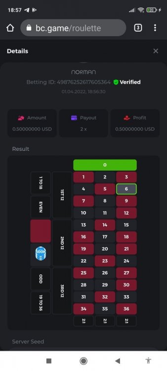 Screenshot_2022-04-01-18-57-43-265_com.android.chrome.jpg