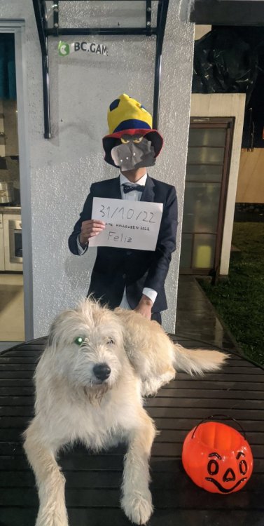 image.thumb.jpeg.fe70d8bc5c8a4d75fba80fa0344da8ff.jpeg